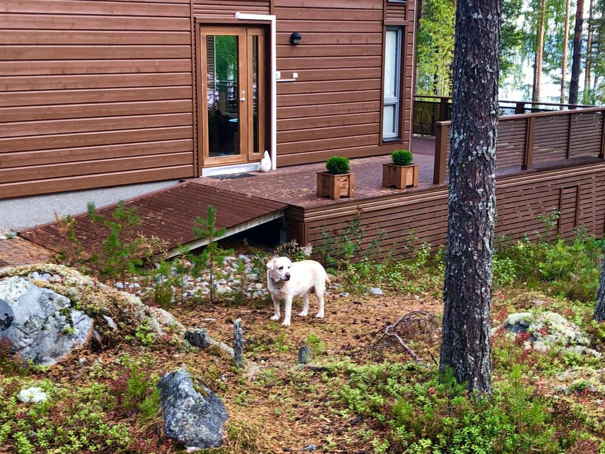 Pielislinna Kolinkylä Exteriör bild