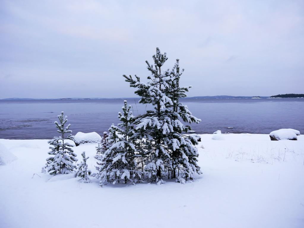 Pielislinna Kolinkylä Exteriör bild